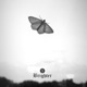 Brighter Single