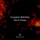 Silver Lining Single