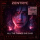 All The Things She Said Hard Techno Edit Single