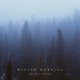 Winter Mornings Single
