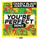 You re Perfect Remix Single