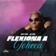 FLEXIONA A TCHECA FUNKHALL REMIX Single