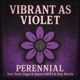 Perennial feat Paris Vegas Skip Martin Queen ARIES Single