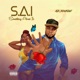 Something about it SAI Single