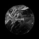 Pegupe Single