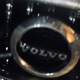 V40 Single