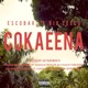 Cokaeena feat Big Zeeco Single
