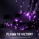FLYING TO VICTORY Single