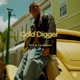 Gold Digger Single