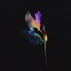Ephemer Single