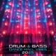 Drum Bass Dance Hall Vibes 2025