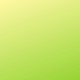 LIME SCOOTER Single
