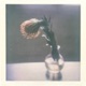 A Flower Song Single