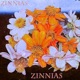 ZINNIAS EP