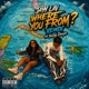 Where You From Young Devyn Remix Single