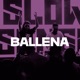 Ballena Single