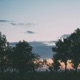 hushed miles Single
