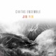 Jin Yin
