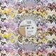 Visions of Dance Vol 1 EP