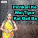 Pichkari Ke Wal Tiyur Kat Gail Ba Single