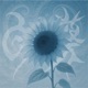 Sunflower Single
