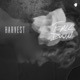 Fall Down Single