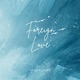 Foreign Love Single