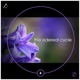 The Sidereal Cycle 4 Virgo