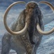 MAMMOTH MAN FREESTYLE 2 FEAT JDO WHITE BOY JOSH Single