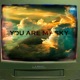 You Are My Sky Single