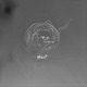 Thief Single