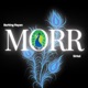 Morr Single