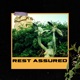 Rest Assured 420 Edition Single