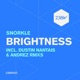 Brightness Single