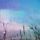 Sandalphon Single