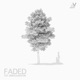 Faded feat Jonna Hjalmarsson Acoustic Single
