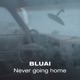 Never Going Home Single