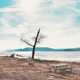 Eastern Tone New Feels Single