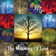 The Meaning of Love feat Mr G Single