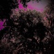 giveyousomuch feat hxrtme Single