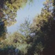 Memory Box Single