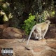 Cool Kid Hot Boy Single