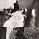 Wolf Season Single