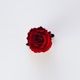 Forget About Me Single
