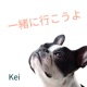 一緒に行こうよ Single