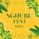 SGHUBU FEST Vol 1 DJ Mix