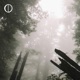 Haze Single