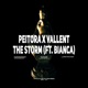 Storm feat Bianca Single