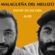 Malagueña Del Mellizo Single