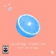 Catching Fireflies Single